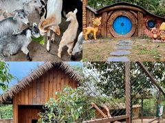 -佛冈森波拉度假区