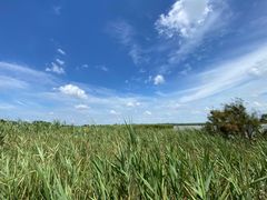 -盐城丹顶鹤湿地生态旅游区