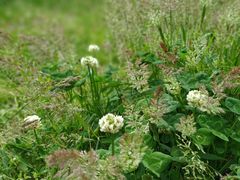 -贵阳市花溪国家城市湿地公园
