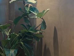 -本色.小马哥烧烤(无锡九里仓店)