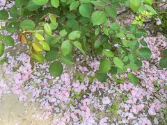 -静之湖度假区