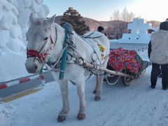 -北极村旅游风景区