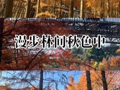 -福道
