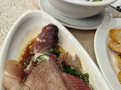 -湛江渔港·大排档(乐园路总店)