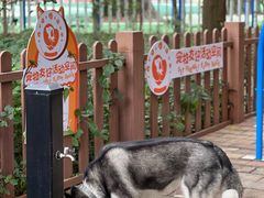 -四海公园(南山区)