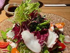 隐泉沙拉-Hatsune隐泉日式料理(三里屯太古里店)