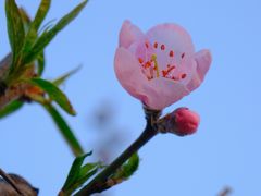 -方山风景区定林寺