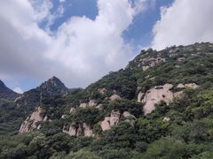 -大岭沟猕猴桃谷风景区