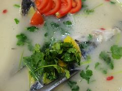 -淳安二十八道·美食汇·淳鱼馆(阳光路店)