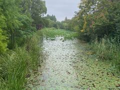 -昆山城市生态森林公园