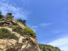 -棒棰岛宾馆景区