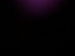 -小小王国亲子游泳俱乐部(锦辉中心)