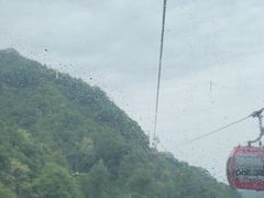 -栾川竹海野生动物园