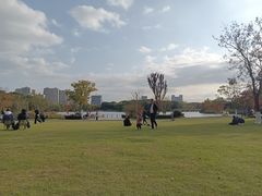 -昆山城市生态森林公园