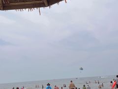 -碣石国家级海洋公园