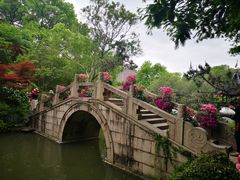 -上海醉白池公园