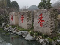 -香雪海