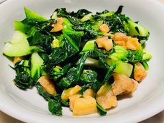 油冬青炒猪油渣-大鱼徽州·寻味徽菜(星光总店)