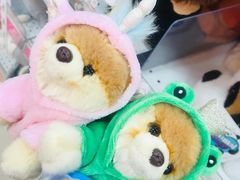 -TOYSRUS玩具反斗城(上海青浦吾悦广场店)