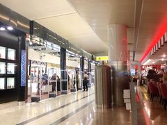 -谢列梅捷沃国际机场