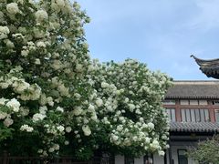 -常熟方塔园