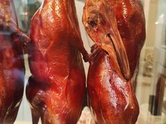 -顺城金记卤鸡·清真