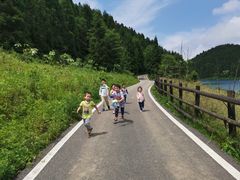 -武陵山森林公园