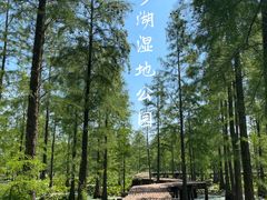 -池杉湖湿地公园