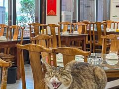 -九寨沟石锅鱼(沣峪口二十年店)