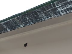 -三水森林公园