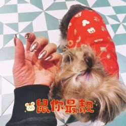 -一然·海俪
