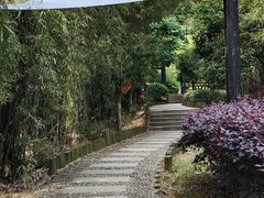 -九龙潭景区