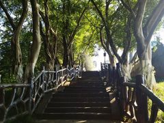 -丰都鬼城名山景区