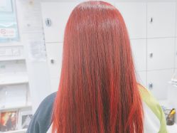 -镁连社·美联社