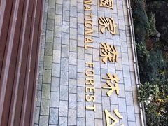-潜山国家森林公园