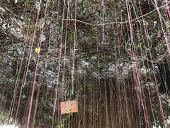 -北戴河集发农业梦想王国