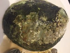 金唐海鲜酒家-金唐海鲜酒家