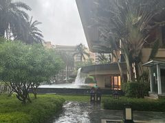 -采悦轩中餐厅·粤菜·海南菜(神州半岛喜来登度假酒店)