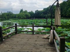 -妙醍醐素食自助餐馆(杭州香积寺店)