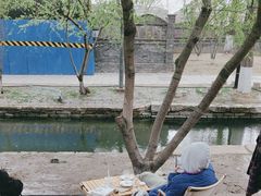 -春风习习