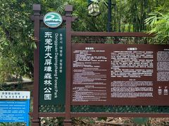 -大屏嶂森林公园