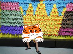 -小象猛犸(炫地购物中心店)
