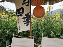 -桃源山庄·水蜜桃采摘·柴火鸡·烧烤团建(龙泉山店)