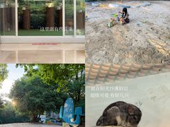 -宁波九龙湖开元度假村