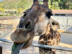 -泉州海丝野生动物世界
