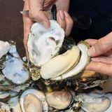 阳江🦪这家店的蚝粒粒好吃又大颗你敢信⁉️