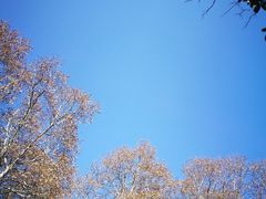 -杭州西湖风景名胜区-钱塘苏小小之墓