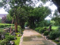 -中国茶叶博物馆(双峰馆区)