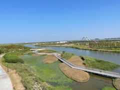 -春花秋色城市公园