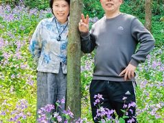 -南通濠河风景名胜区